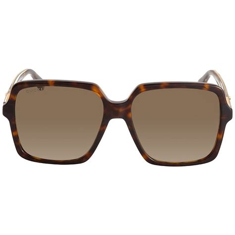 gucci gg0375s sunglasses 002 havana maycis|Gucci Brown Square Ladies Sunglasses GG0375S 002 56.